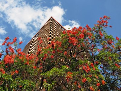 Santiago - Universidad de Chile