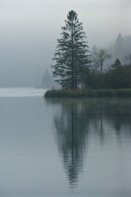 November mist, Lake Kozjak