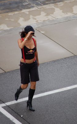 Red bull Paddock girl.jpg