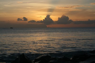 IMG_2739.JPG