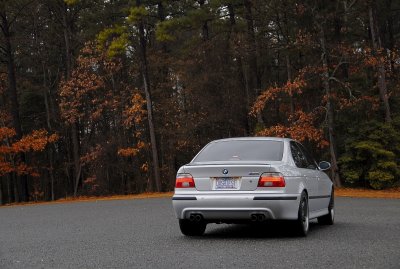 pic-5.jpg