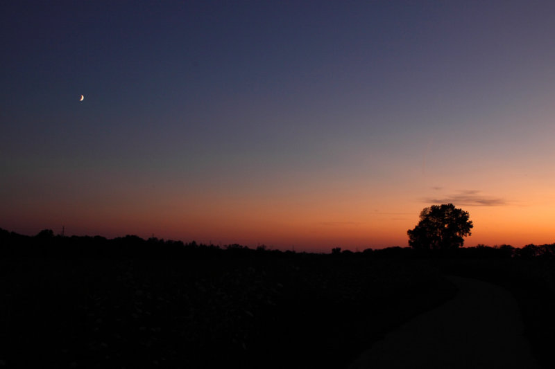 Summer Waxing Moon