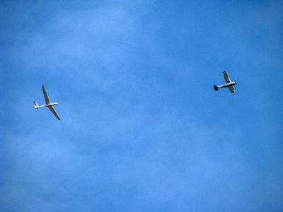 Follow the Leader