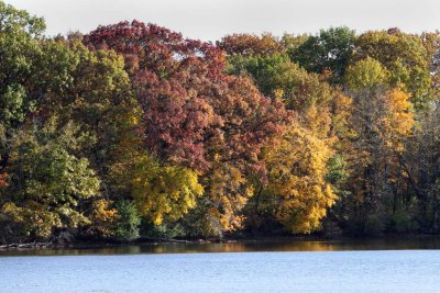 Fox River and Fall Colors