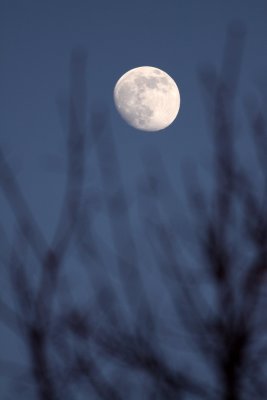 Midwest Moonrise