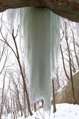 Veil of Ice