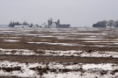 Winter on the Farm