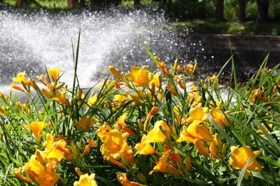 Fountain Spray