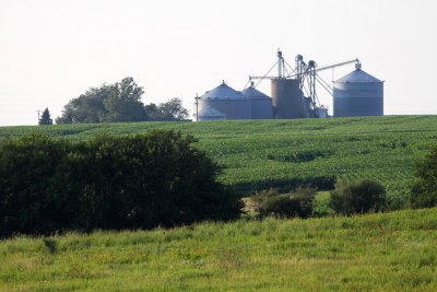 Illinois Farm Country