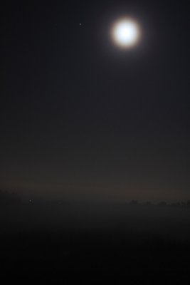 Planetary Fog