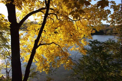 Fall Along the River