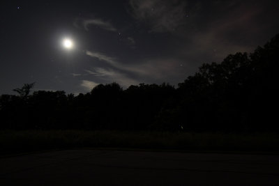 Moon, Stars and Fireflies