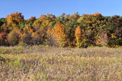 Fall All Over
