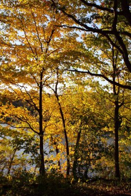 Indian Summer Day