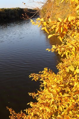Fall on the Fox