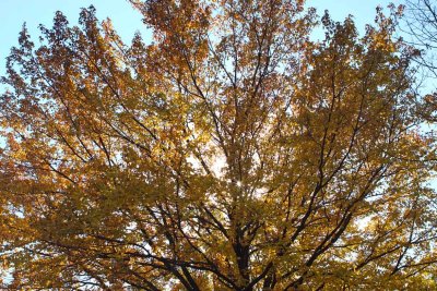 October Sun