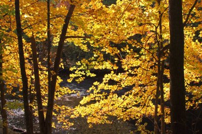 Autumn in the Valley