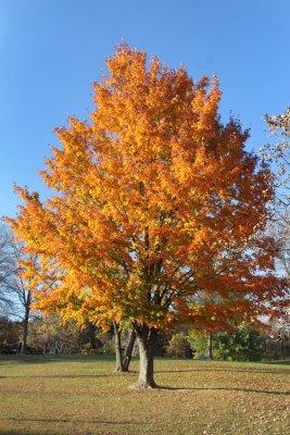On Time in October