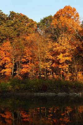 Autumn on the Shoreline