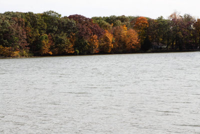 Fall in the Fox River Valley