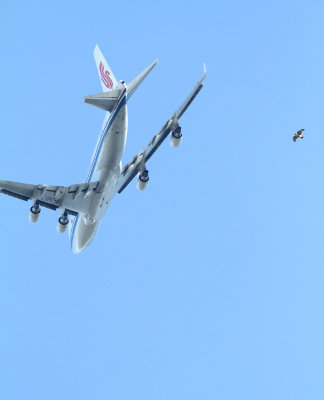 Jousting with a Jet 