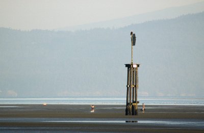 Vancouver