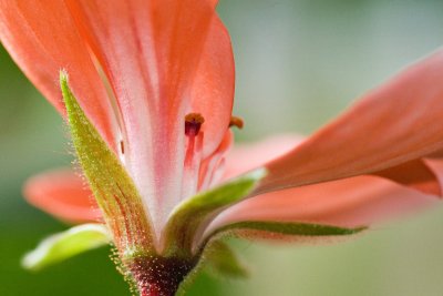 DSC_6790br.jpg