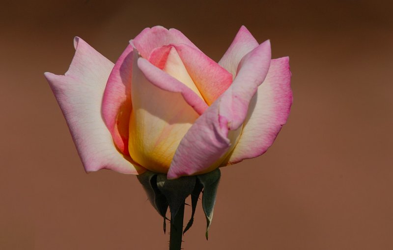 D24_9091.jpg