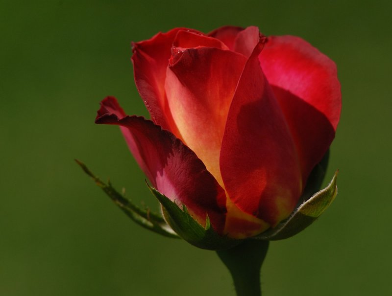 D24_9106.jpg