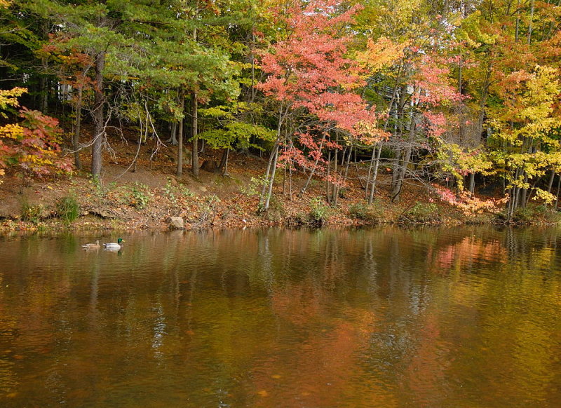 D25_0916.jpg