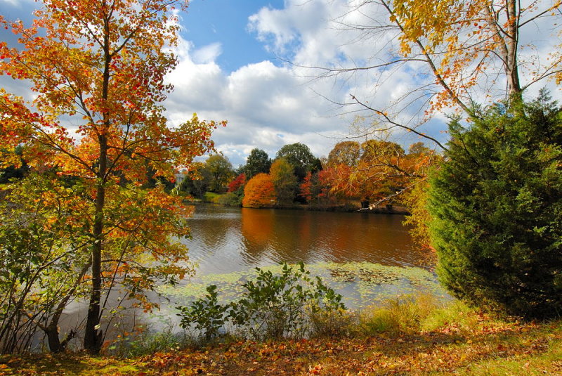 D25_0939.jpg