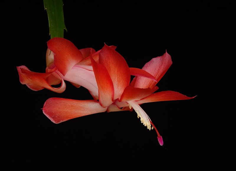 D25_1292.jpg