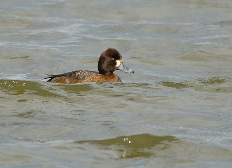 D25_4068.jpg