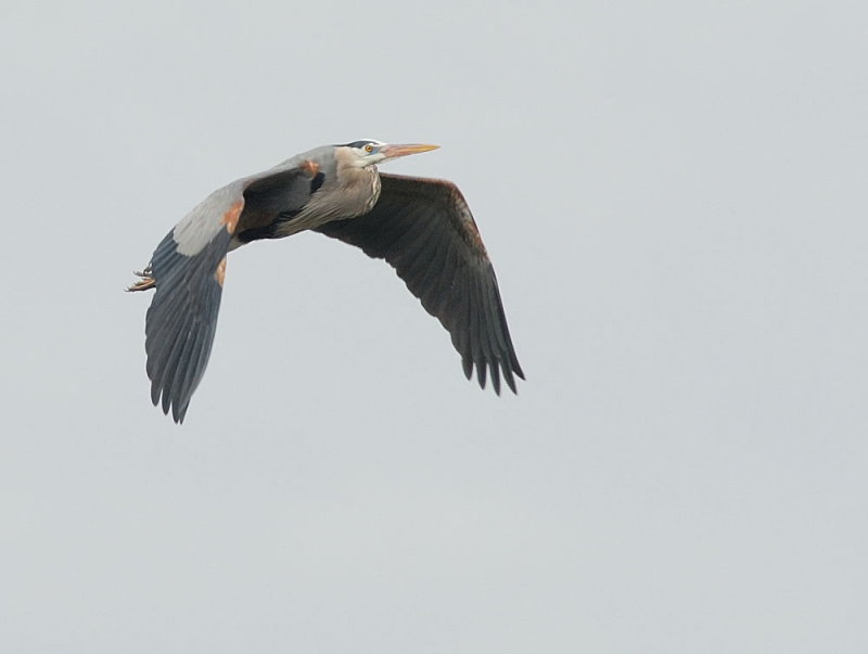 D25_5593.jpg