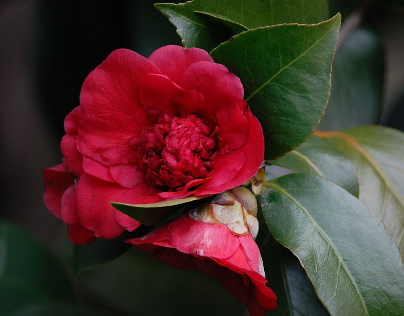 D25_5803.jpg