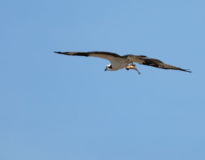 D25_6010.jpg