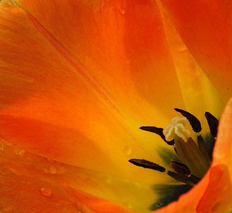 D25_6943.jpg