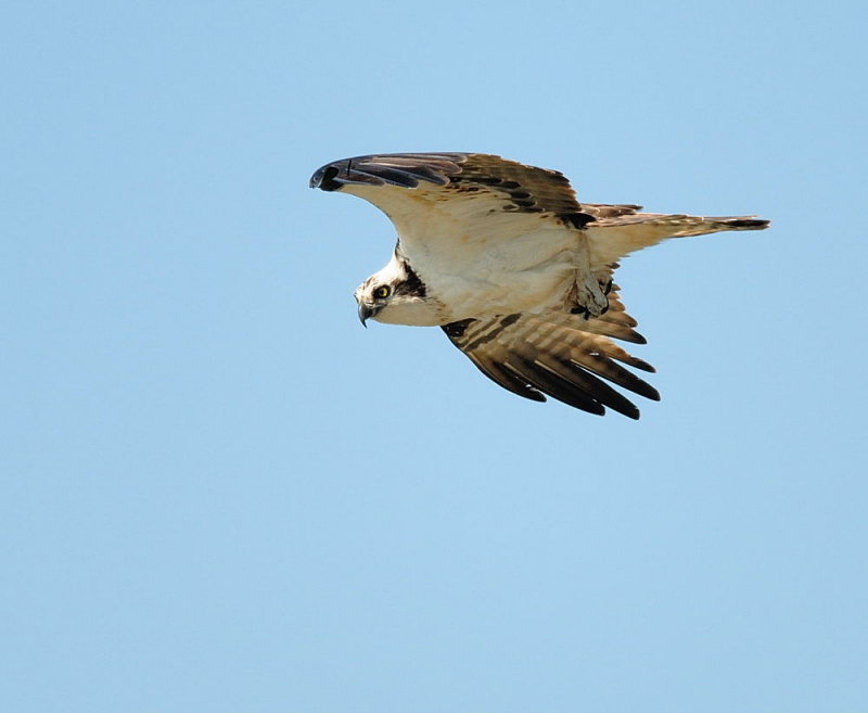 D25_7406.jpg