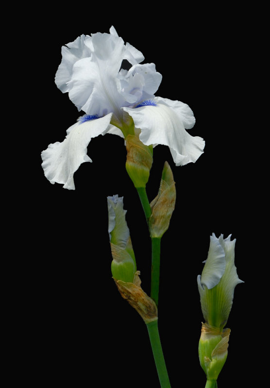 D25_8203 R.jpg