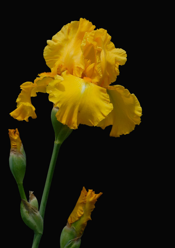 D25_8222 R.jpg