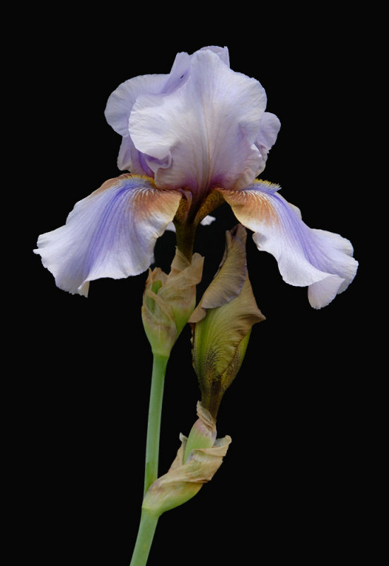 D25_8275 R.jpg