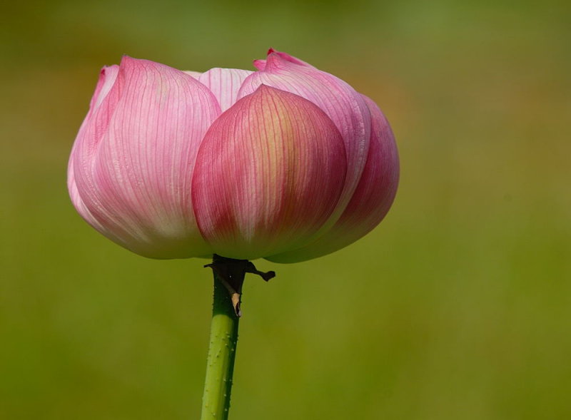 D26_3285.jpg