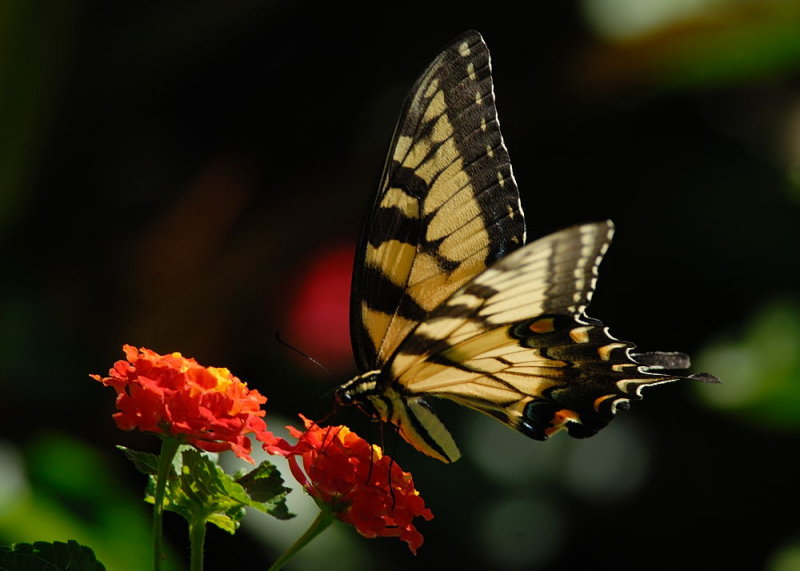 D26_5865.jpg