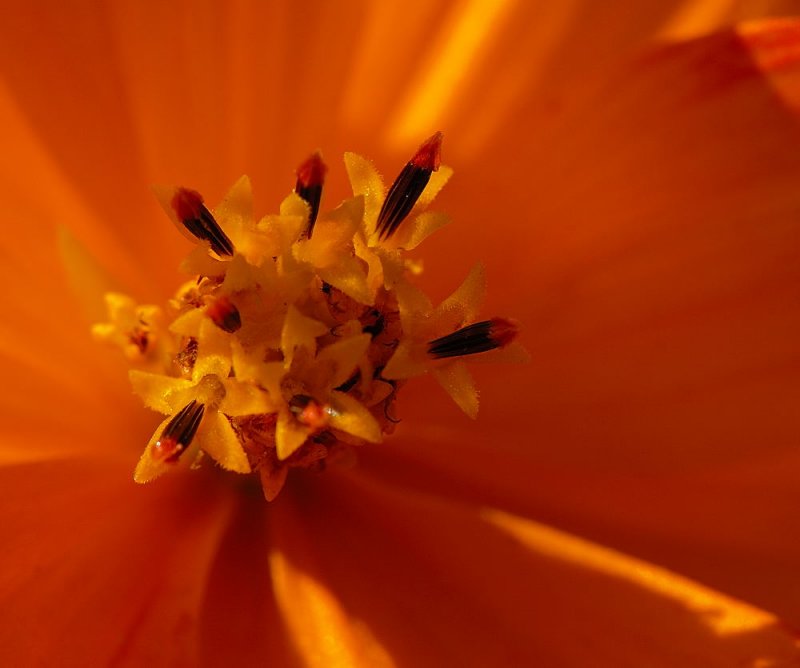 D26_6894.jpg