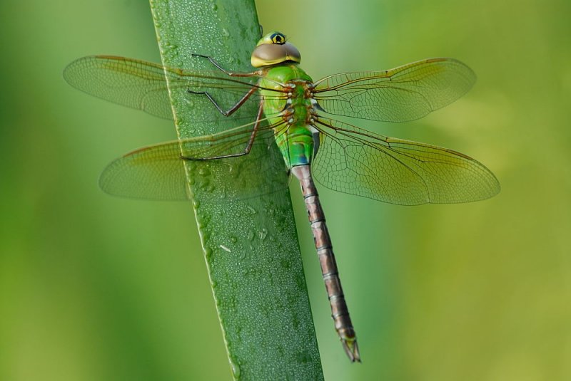 D26_6936.jpg