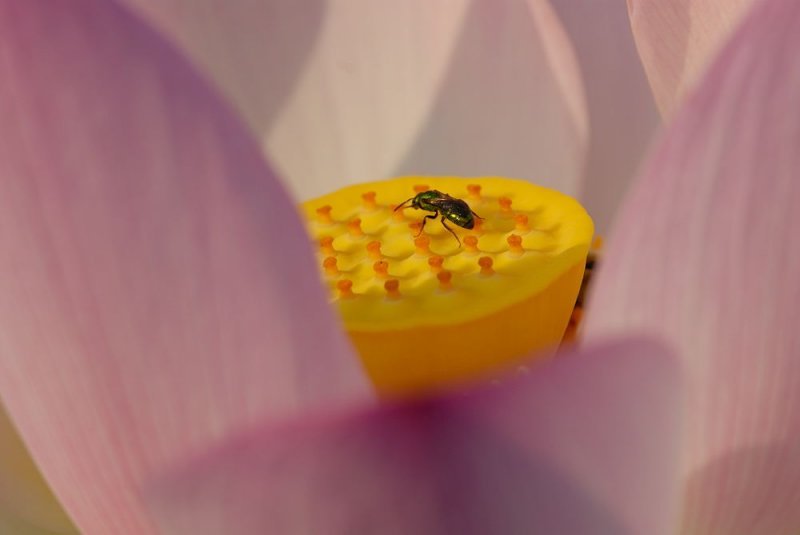 D28_1272.jpg