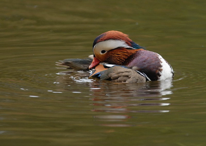 D28_6240.jpg