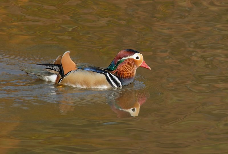 D28_6349.jpg