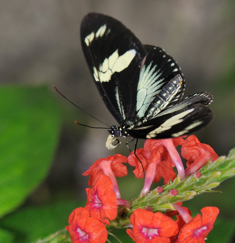 D33_4524.jpg