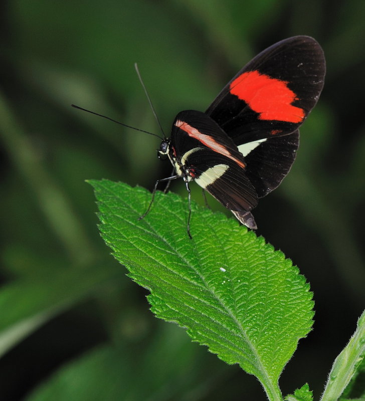 D33_4535.jpg